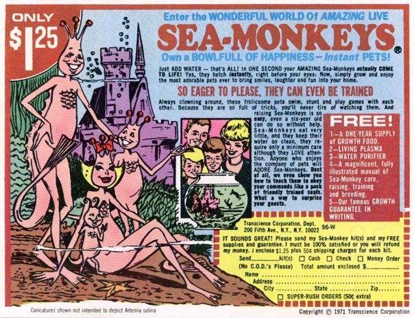 sea monkeys weird hobbies better than dating